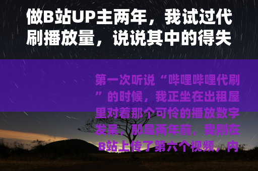 做B站UP主两年，我试过代刷播放量，说说其中的得失与教训