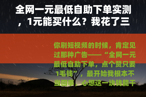 全网一元最低自助下单实测，1元能买什么？我花了三天测了8个平台