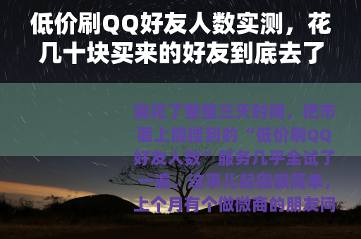 低价刷QQ好友人数实测，花几十块买来的好友到底去了哪