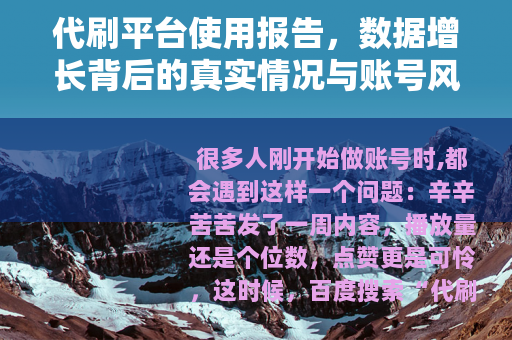 代刷平台使用报告，数据增长背后的真实情况与账号风险