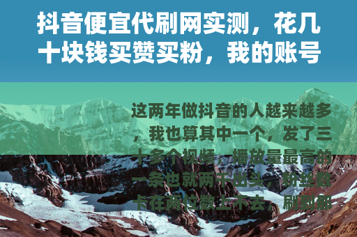 抖音便宜代刷网实测，花几十块钱买赞买粉，我的账号最后怎么样了？
