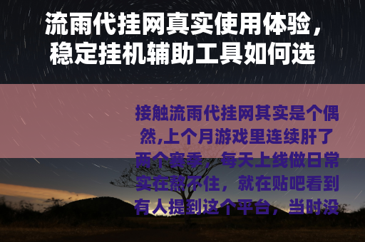 流雨代挂网真实使用体验，稳定挂机辅助工具如何选