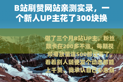 B站刷赞网站亲测实录，一个新人UP主花了300块换来的真实教训