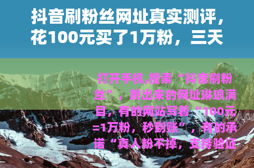 抖音刷粉丝网址真实测评，花100元买了1万粉，三天后还剩多少？