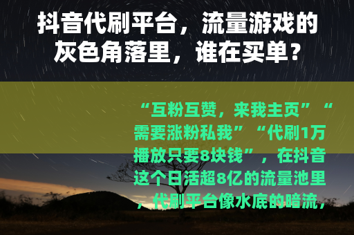 抖音代刷平台，流量游戏的灰色角落里，谁在买单？