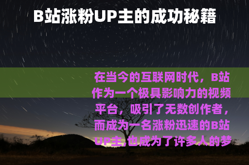 B站涨粉UP主的成功秘籍