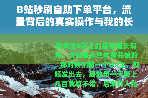 B站秒刷自助下单平台，流量背后的真实操作与我的长期观察