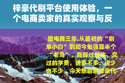 梓豪代刷平台使用体验，一个电商卖家的真实观察与反思