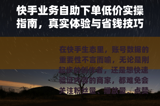 快手业务自助下单低价实操指南，真实体验与省钱技巧分享
