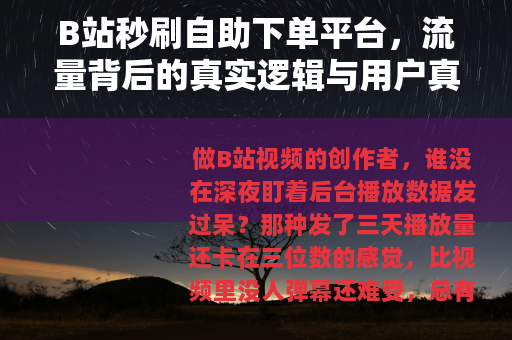 B站秒刷自助下单平台，流量背后的真实逻辑与用户真实体验