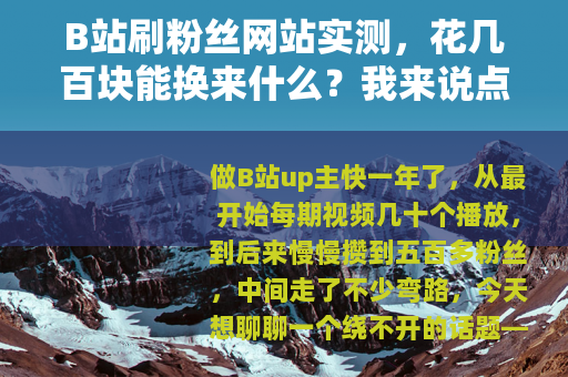 B站刷粉丝网站实测，花几百块能换来什么？我来说点大实话