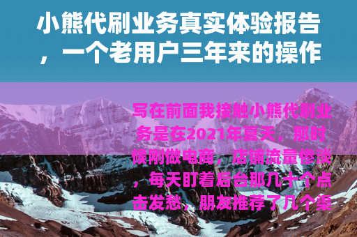 小熊代刷业务真实体验报告，一个老用户三年来的操作细节与效果反馈
