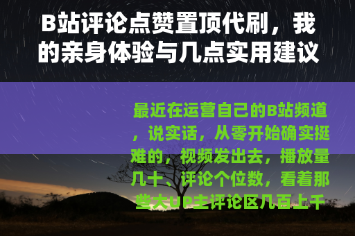 B站评论点赞置顶代刷，我的亲身体验与几点实用建议