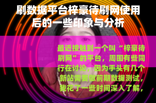 刷数据平台梓豪待刷网使用后的一些印象与分析