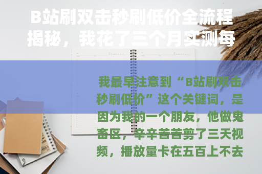 B站刷双击秒刷低价全流程揭秘，我花了三个月实测每一分钱效果