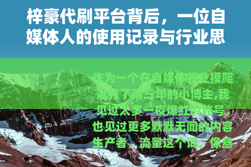 梓豪代刷平台背后，一位自媒体人的使用记录与行业思考