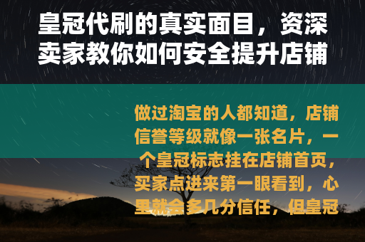 皇冠代刷的真实面目，资深卖家教你如何安全提升店铺信誉