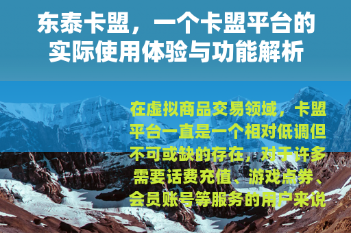 东泰卡盟，一个卡盟平台的实际使用体验与功能解析
