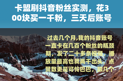 卡盟刷抖音粉丝实测，花300块买一千粉，三天后账号怎么样了