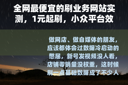 全网最便宜的刷业务网站实测，1元起刷，小众平台效果让人意外
