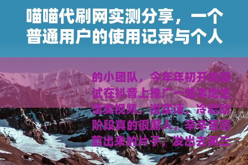 喵喵代刷网实测分享，一个普通用户的使用记录与个人观察