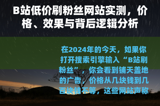 B站低价刷粉丝网站实测，价格、效果与背后逻辑分析