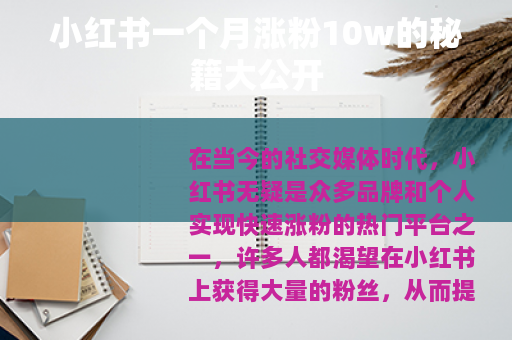 小红书一个月涨粉10w的秘籍大公开