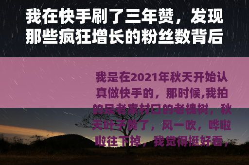 我在快手刷了三年赞，发现那些疯狂增长的粉丝数背后藏着什么