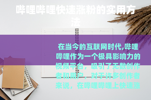 哔哩哔哩快速涨粉的实用方法