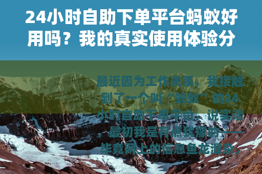 24小时自助下单平台蚂蚁好用吗？我的真实使用体验分享