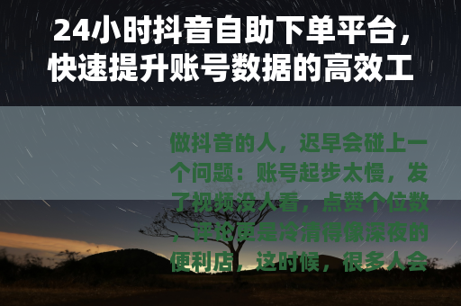 24小时抖音自助下单平台，快速提升账号数据的高效工具与使用指南