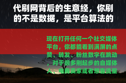代刷网背后的生意经，你刷的不是数据，是平台算法的信任博弈