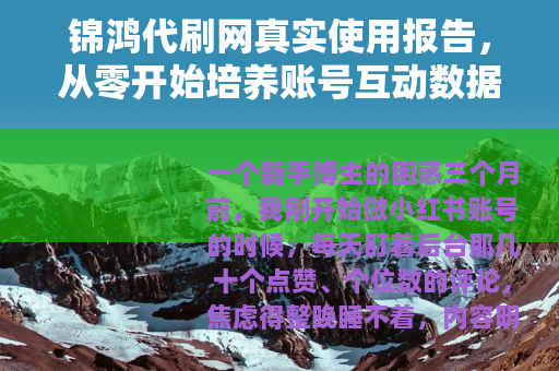 锦鸿代刷网真实使用报告，从零开始培养账号互动数据经验谈