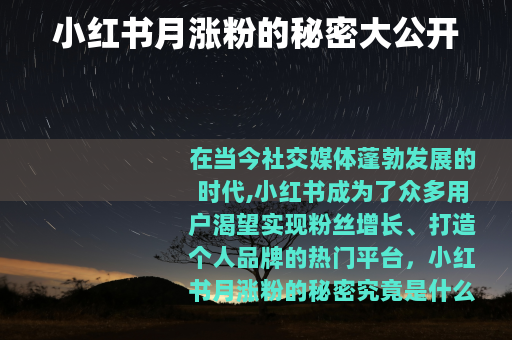 小红书月涨粉的秘密大公开
