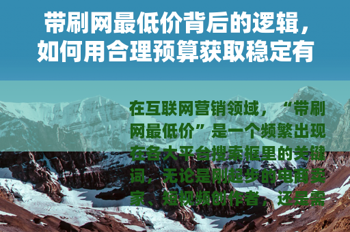 带刷网最低价背后的逻辑，如何用合理预算获取稳定有效的刷量服务