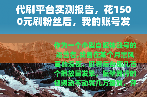 代刷平台实测报告，花1500元刷粉丝后，我的账号发生了什么？