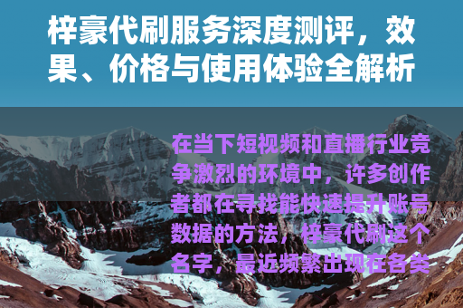 梓豪代刷服务深度测评，效果、价格与使用体验全解析