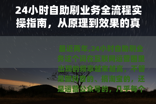 24小时自助刷业务全流程实操指南，从原理到效果的真实反馈