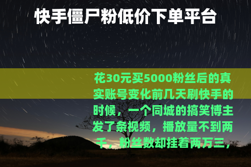 快手僵尸粉低价下单平台