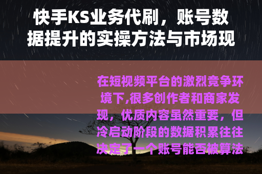 快手KS业务代刷，账号数据提升的实操方法与市场现状全解析
