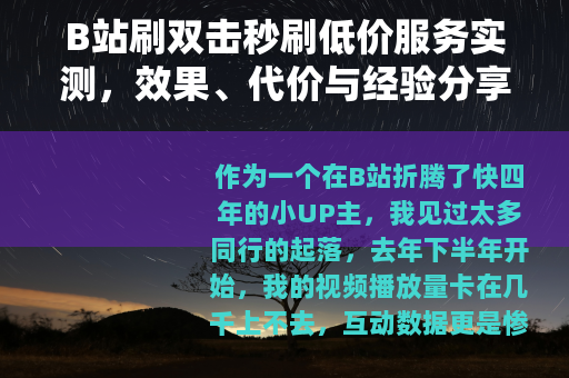 B站刷双击秒刷低价服务实测，效果、代价与经验分享