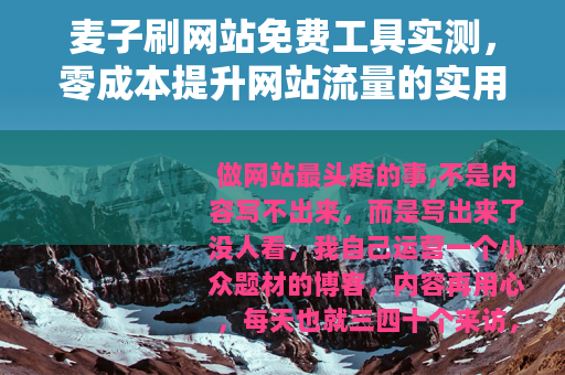 麦子刷网站免费工具实测，零成本提升网站流量的实用方法