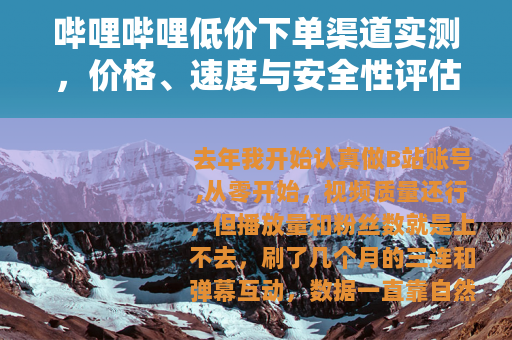 哔哩哔哩低价下单渠道实测，价格、速度与安全性评估