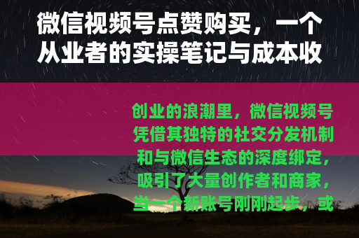 微信视频号点赞购买，一个从业者的实操笔记与成本收益分析