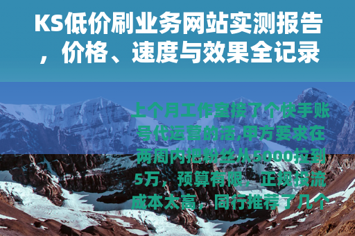 KS低价刷业务网站实测报告，价格、速度与效果全记录