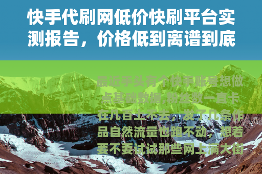 快手代刷网低价快刷平台实测报告，价格低到离谱到底能不能用？
