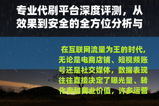 专业代刷平台深度评测，从效果到安全的全方位分析与使用心得