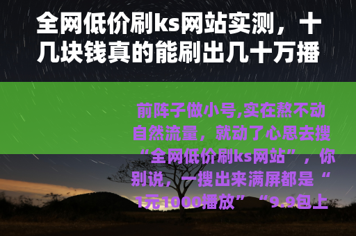 全网低价刷ks网站实测，十几块钱真的能刷出几十万播放吗？