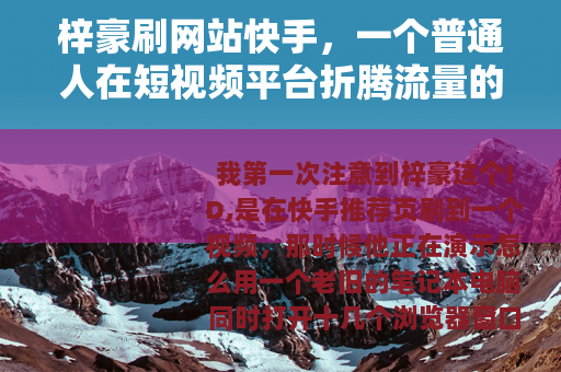 梓豪刷网站快手，一个普通人在短视频平台折腾流量的真实记录