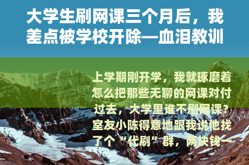 大学生刷网课三个月后，我差点被学校开除—血泪教训